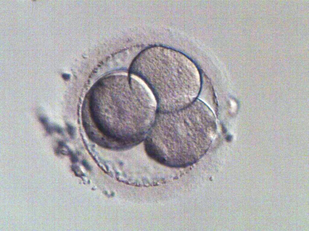 1672711806626894.jpg 640.jpg