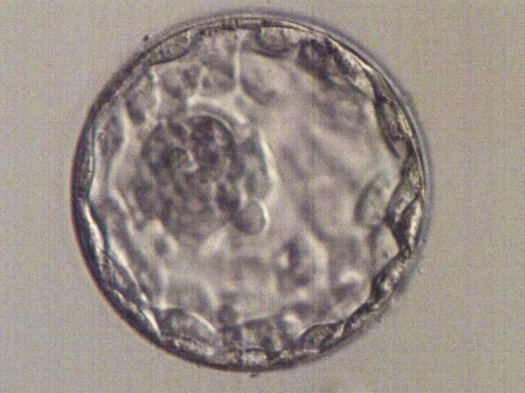 1672711850562621.jpg 640.jpg