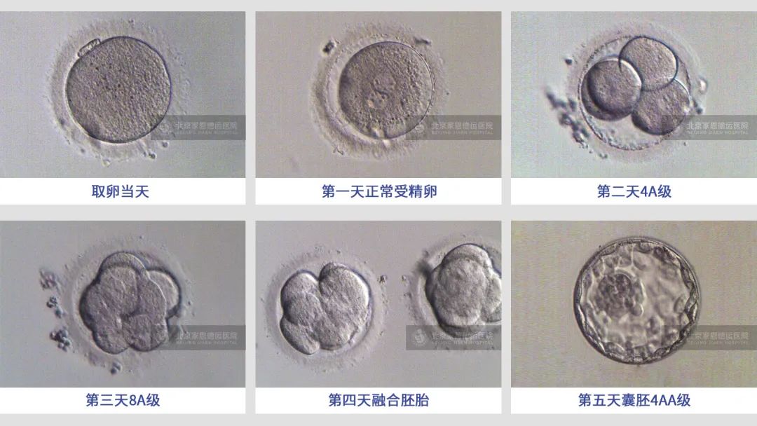 1672711897736387.jpg 640.jpg