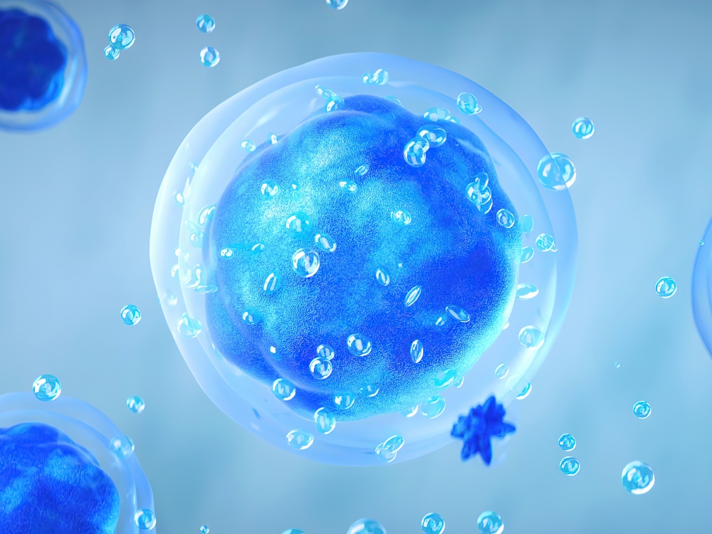 17223431655095304cell35_副本.jpg cell35_副本.jpg