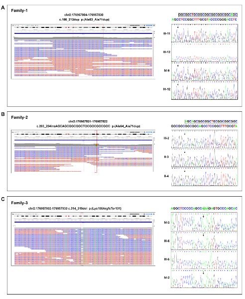 176831882834946262.jpg 2.jpg